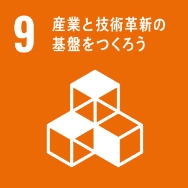SDGs12